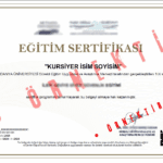 Üniversite Onaylı Sertifika