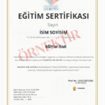 E-Devlet Onaylı Sertifika